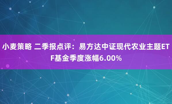 小麦策略 二季报点评:易方达中证现代农业主题ETF基金季度涨幅6.00%